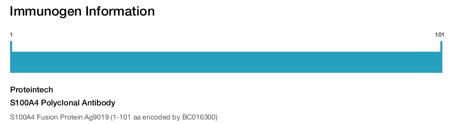 S100A4 Polyclonal Antibody