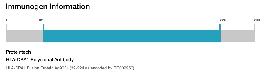 HLA-DPA1 Polyclonal Antibody