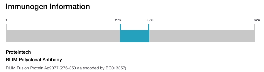 RLIM Polyclonal Antibody