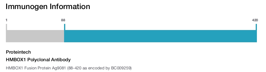 HMBOX1 Polyclonal Antibody