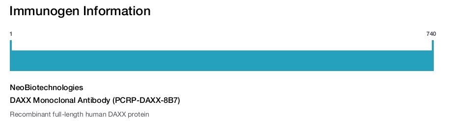DAXX Monoclonal Antibody (PCRP-DAXX-8B7)