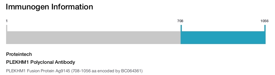 PLEKHM1 Polyclonal Antibody