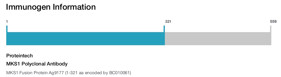 MKS1 Polyclonal Antibody