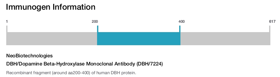 DBH/Dopamine Beta-Hydroxylase Monoclonal Antibody (DBH/7224)