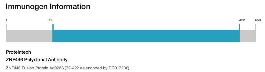 ZNF446 Polyclonal Antibody
