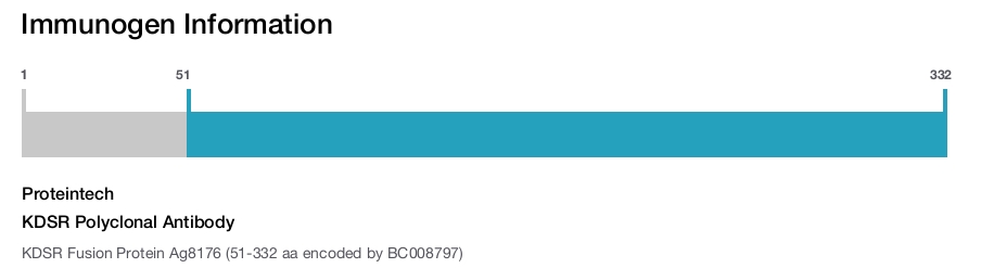 KDSR Polyclonal Antibody