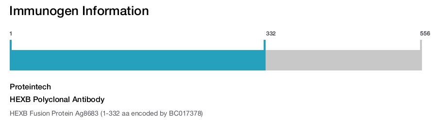 HEXB Polyclonal Antibody