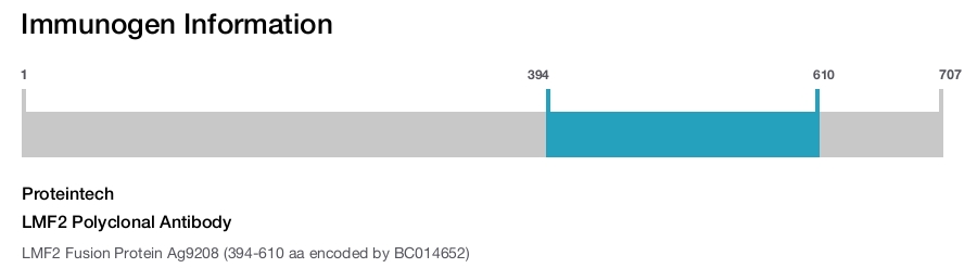 LMF2 Polyclonal Antibody