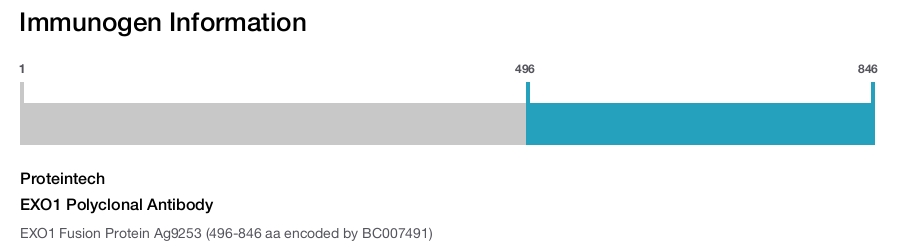 EXO1 Polyclonal Antibody