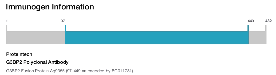 G3BP2 Polyclonal Antibody