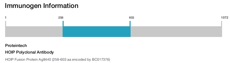 HOIP Polyclonal Antibody
