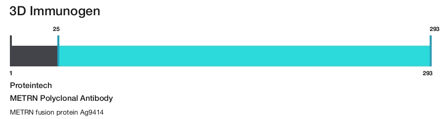 METRN Polyclonal Antibody