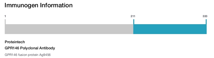 GPR146 Polyclonal Antibody