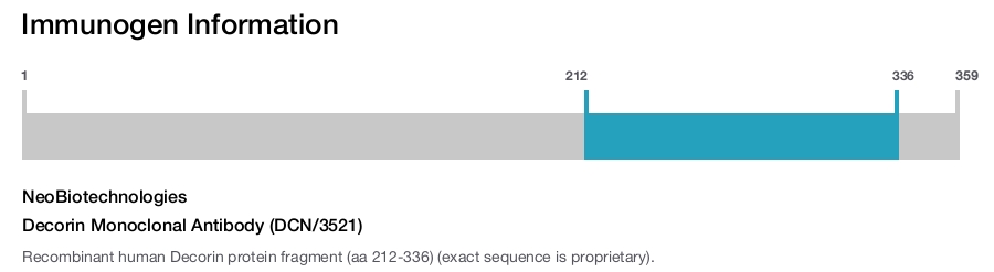Decorin Monoclonal Antibody (DCN/3521)