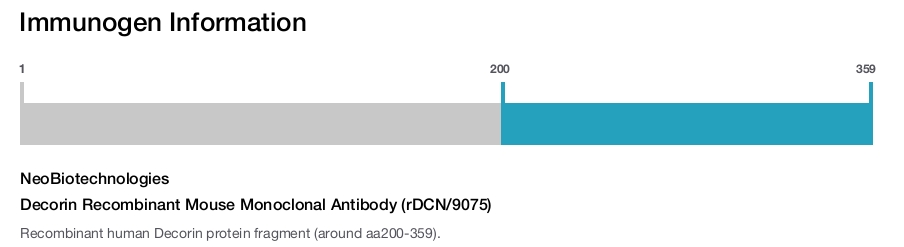 Decorin Recombinant Mouse Monoclonal Antibody (rDCN/9075)
