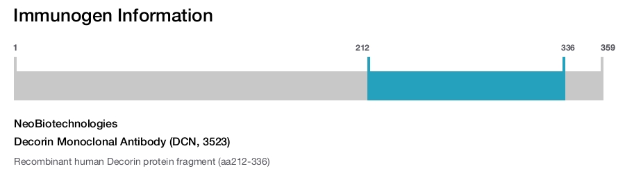 Decorin Monoclonal Antibody (DCN, 3523)