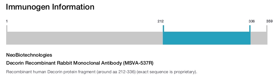 Decorin Recombinant Rabbit Monoclonal Antibody (MSVA-537R)