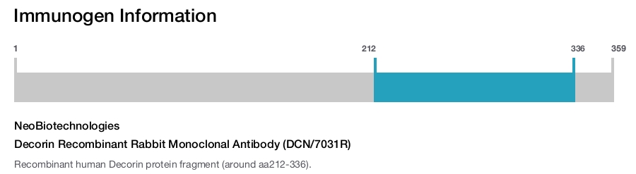 Decorin Recombinant Rabbit Monoclonal Antibody (DCN/7031R)