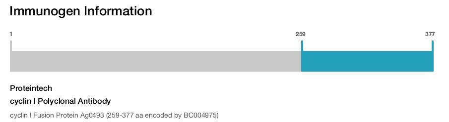 cyclin I Polyclonal Antibody
