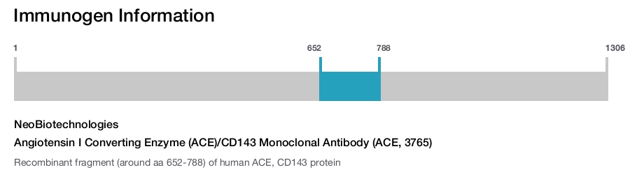 Angiotensin I Converting Enzyme (ACE)/CD143 Monoclonal Antibody (ACE, 3765)