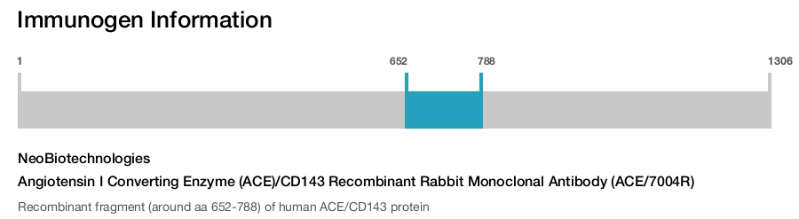 Angiotensin I Converting Enzyme (ACE)/CD143 Recombinant Rabbit Monoclonal Antibody (ACE/7004R)