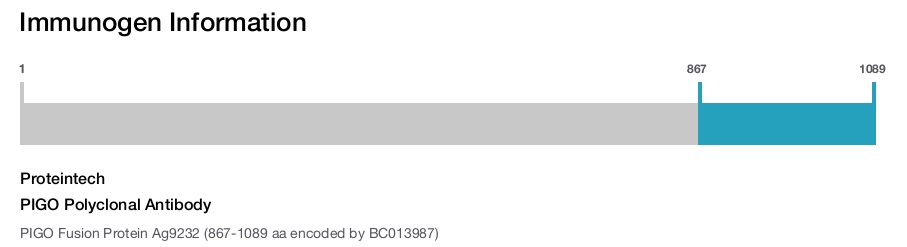 PIGO Polyclonal Antibody