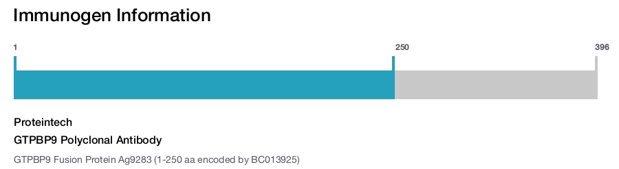 GTPBP9 Polyclonal Antibody