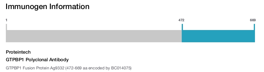 GTPBP1 Polyclonal Antibody