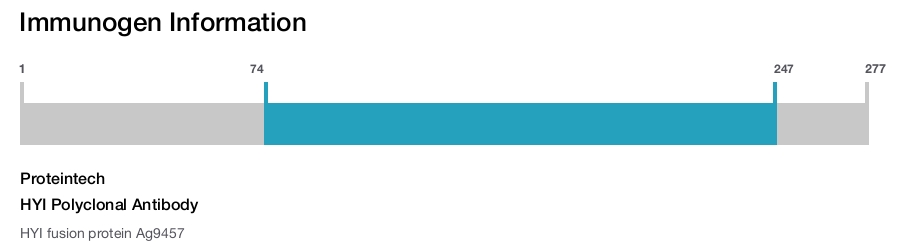 HYI Polyclonal Antibody