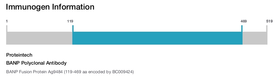 BANP Polyclonal Antibody