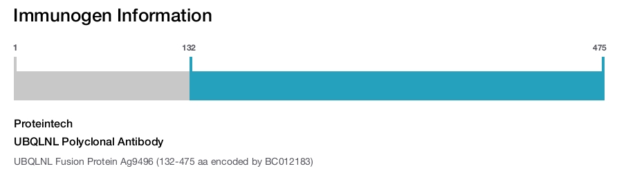 UBQLNL Polyclonal Antibody