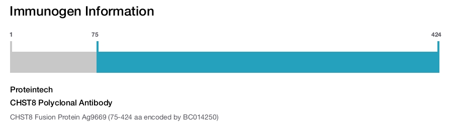 CHST8 Polyclonal Antibody