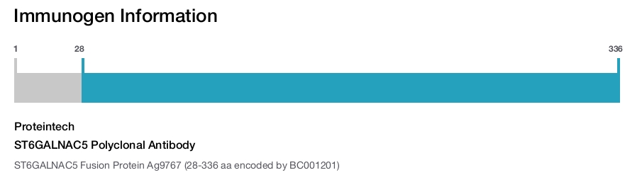 ST6GALNAC5 Polyclonal Antibody