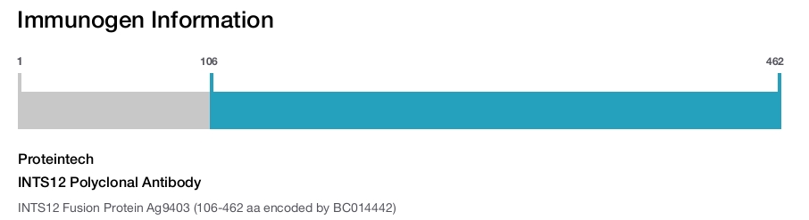 INTS12 Polyclonal Antibody