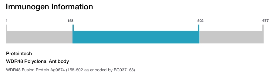 WDR48 Polyclonal Antibody