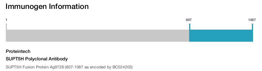 SUPT5H Polyclonal Antibody