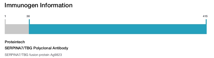 SERPINA7/TBG Polyclonal Antibody
