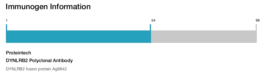 DYNLRB2 Polyclonal Antibody