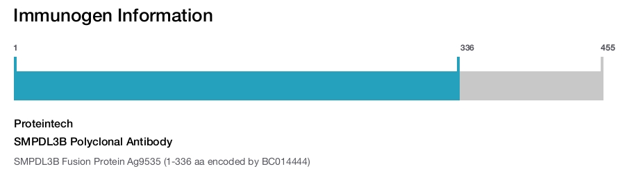 SMPDL3B Polyclonal Antibody