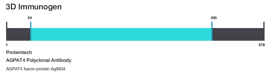 AGPAT4 Polyclonal Antibody