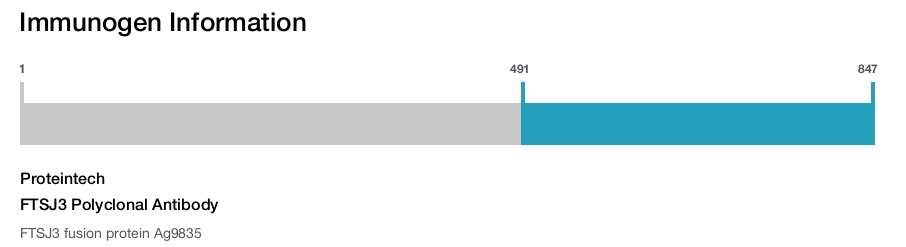 FTSJ3 Polyclonal Antibody