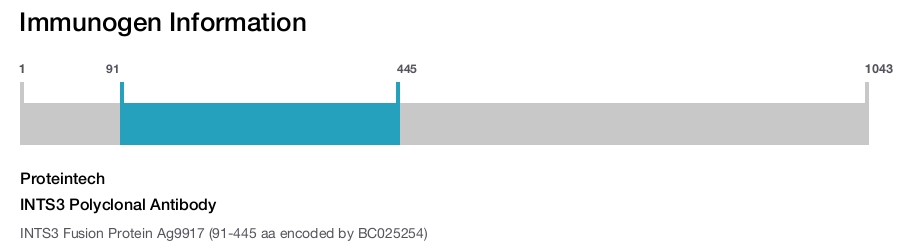 INTS3 Polyclonal Antibody