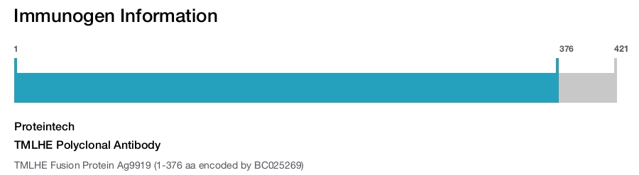 TMLHE Polyclonal Antibody