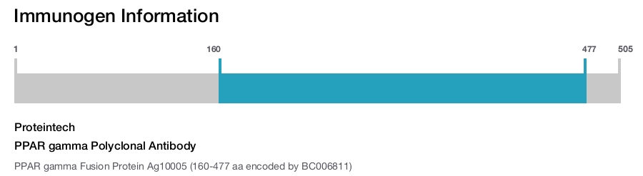 PPAR gamma Polyclonal Antibody