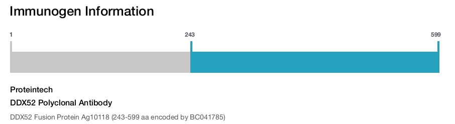 DDX52 Polyclonal Antibody