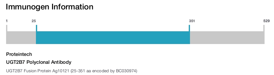 UGT2B7 Polyclonal Antibody