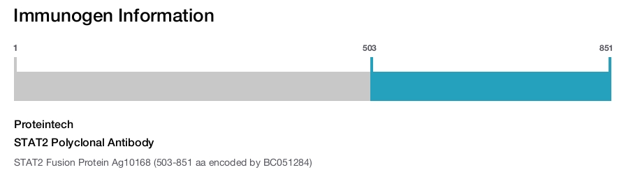 STAT2 Polyclonal Antibody