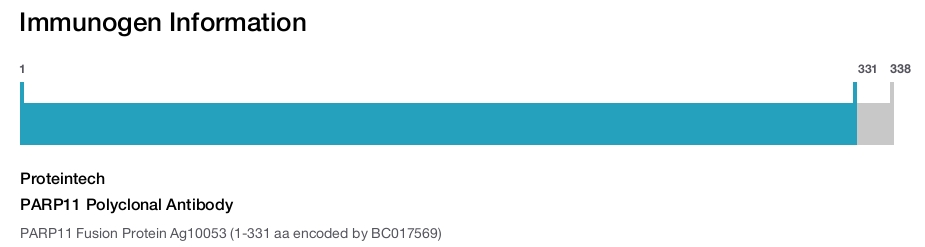PARP11 Polyclonal Antibody