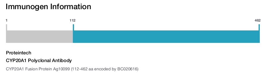 CYP20A1 Polyclonal Antibody
