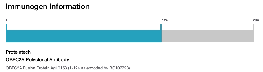 OBFC2A Polyclonal Antibody